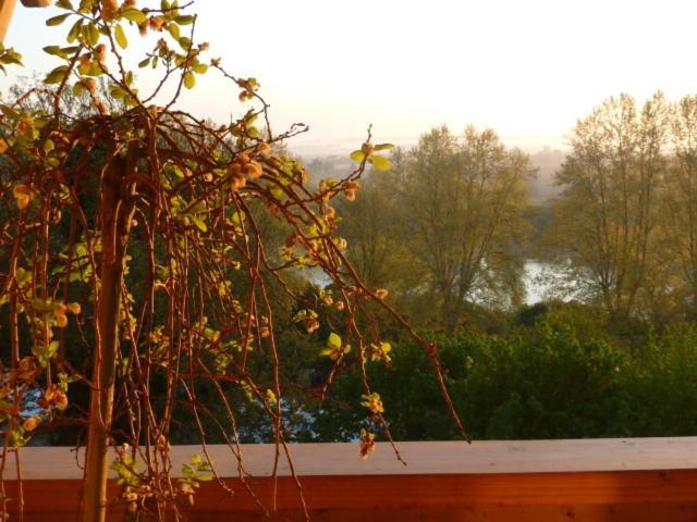 Le Mas-dʼAgenais Le Dormeur Du Val Bed & Breakfast 部屋 写真